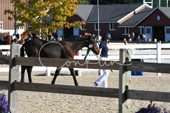 HSM_3417