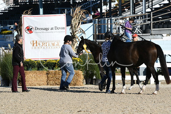 HSM_3426