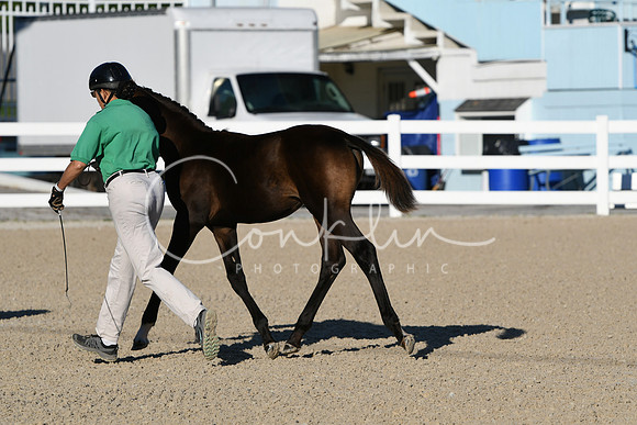 HSM_3258