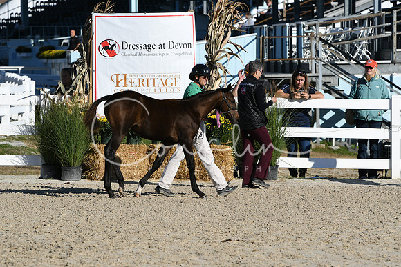 HSM_3419
