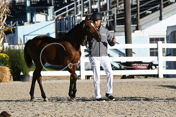 HSM_3173