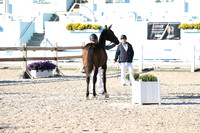 RJC32476