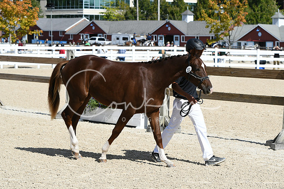 HSM_4219