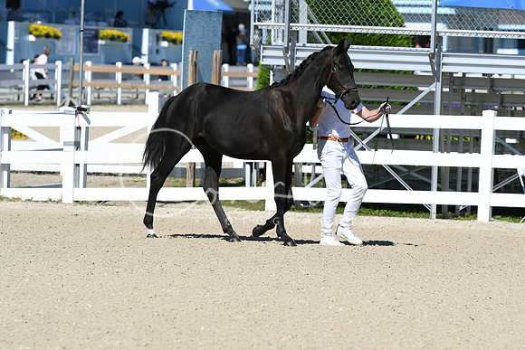 HSM_4068