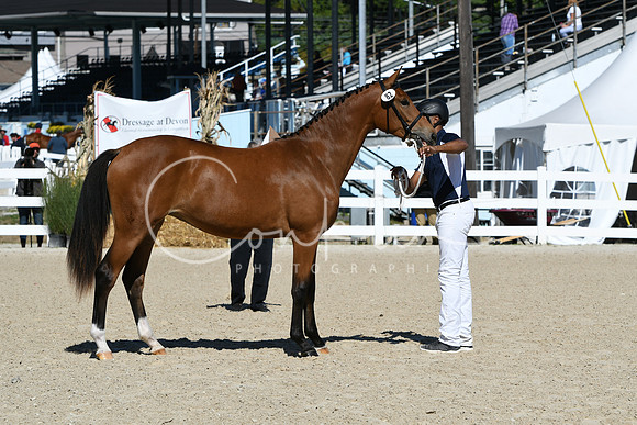 HSM_4157