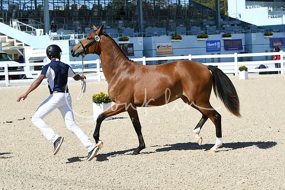 HSM_4165