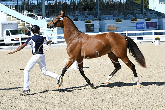 HSM_4166