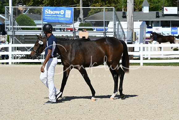 HSM_4185