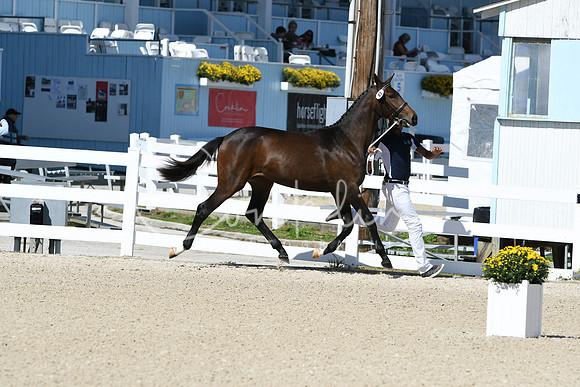 HSM_4190