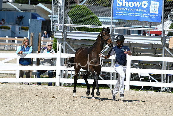 HSM_4193