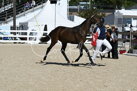 HSM_4196