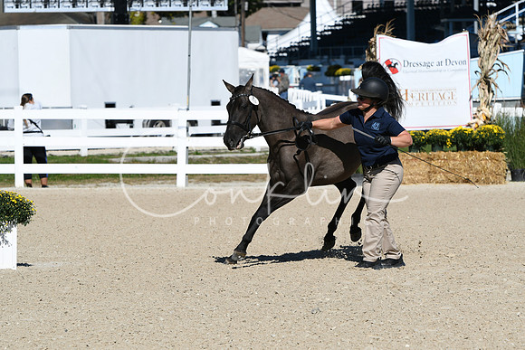HSM_4019
