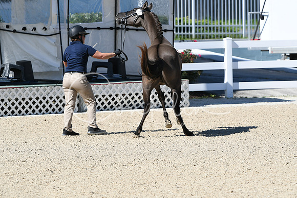 HSM_4031