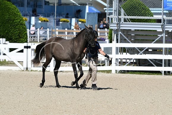 HSM_4036
