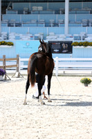 RJC33178