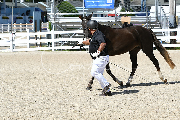HSM_4416