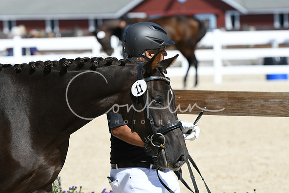 HSM_4431