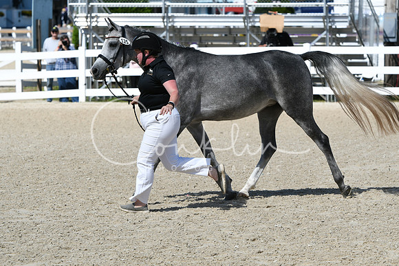 HSM_4308