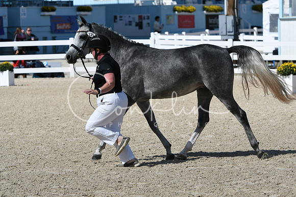 HSM_4310