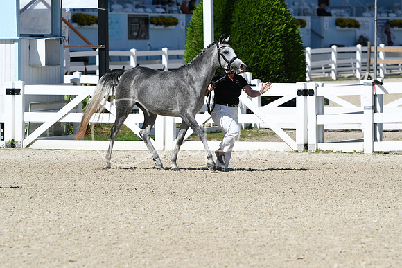 HSM_4314