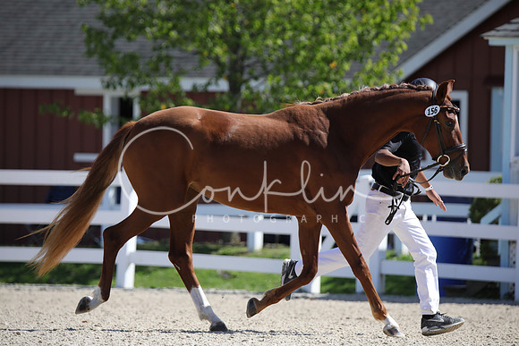 795A4604