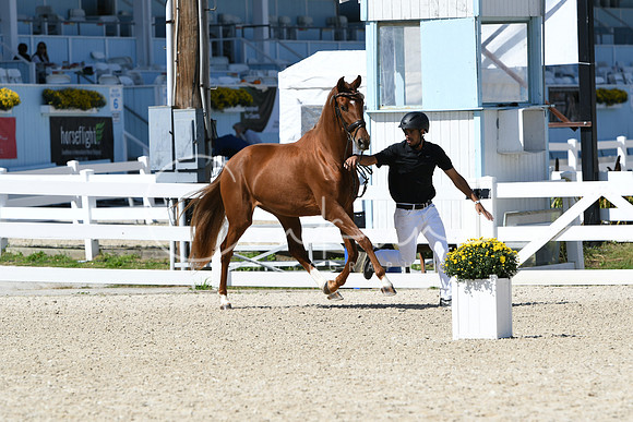 HSM_4540