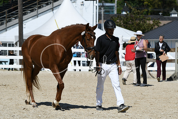 HSM_4548