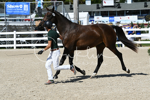 HSM_4331