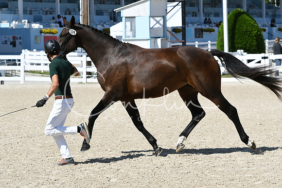 HSM_4333