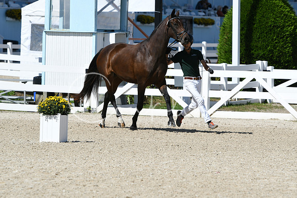 HSM_4336