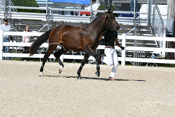 HSM_4340