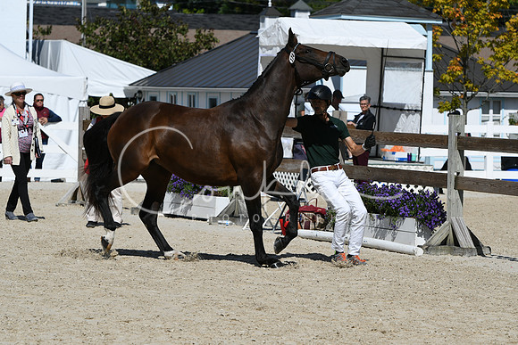 HSM_4346