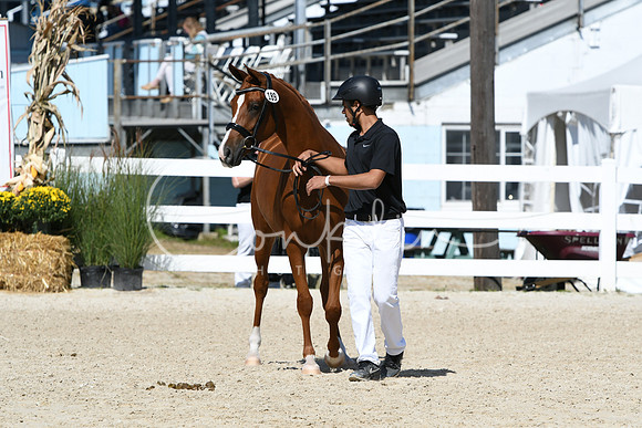 HSM_4435