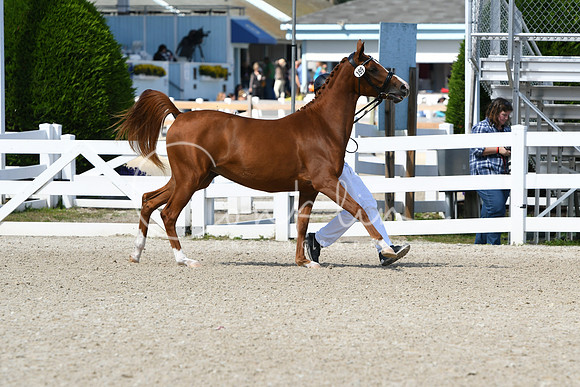HSM_4456