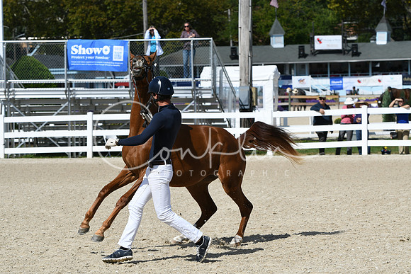 HSM_4370