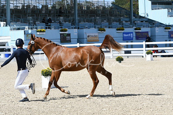 HSM_4371