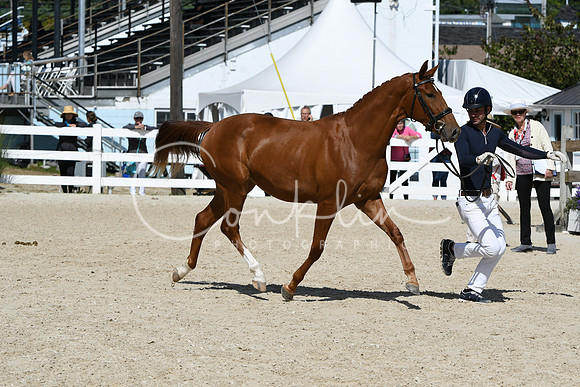 HSM_4391