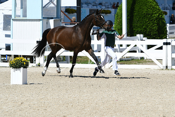 HSM_4258