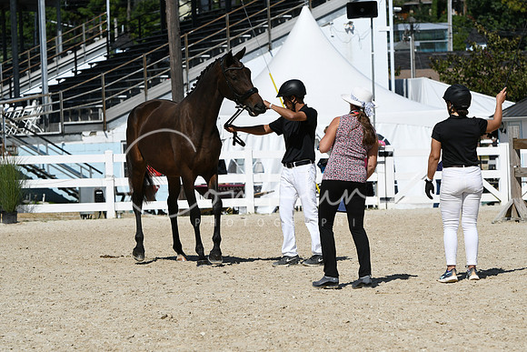 HSM_4503