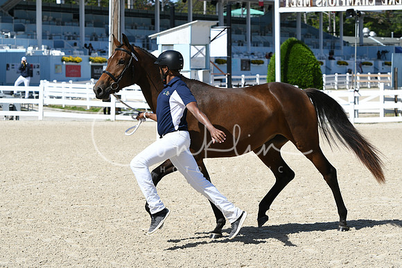 HSM_4286