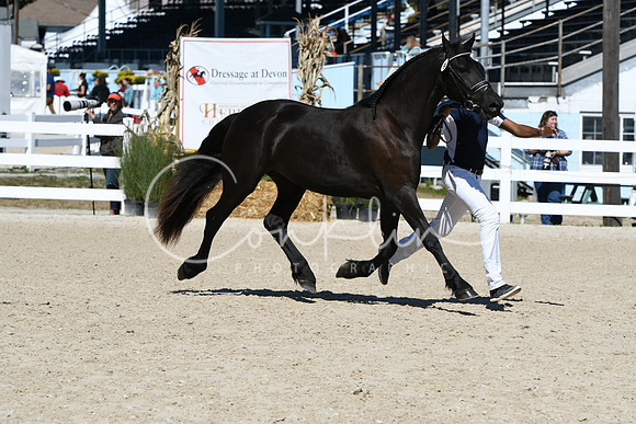 HSM_4237