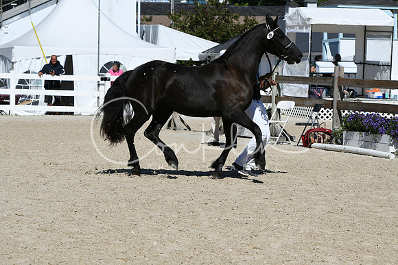 HSM_4239
