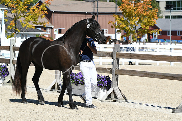 HSM_4242
