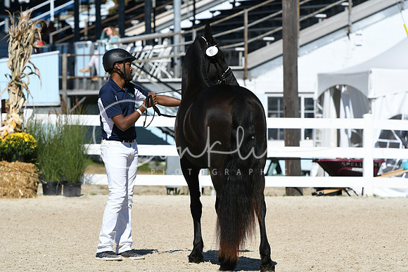 HSM_4241