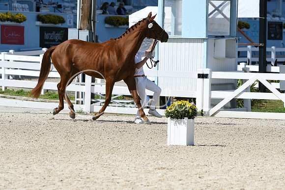 HSM_4578