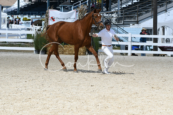 HSM_4584