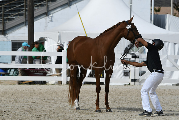 HSM_4929