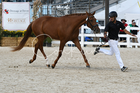 HSM_4941