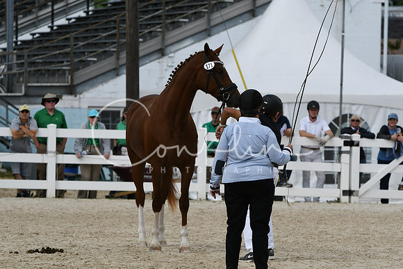 HSM_4872