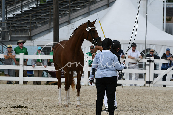 HSM_4873